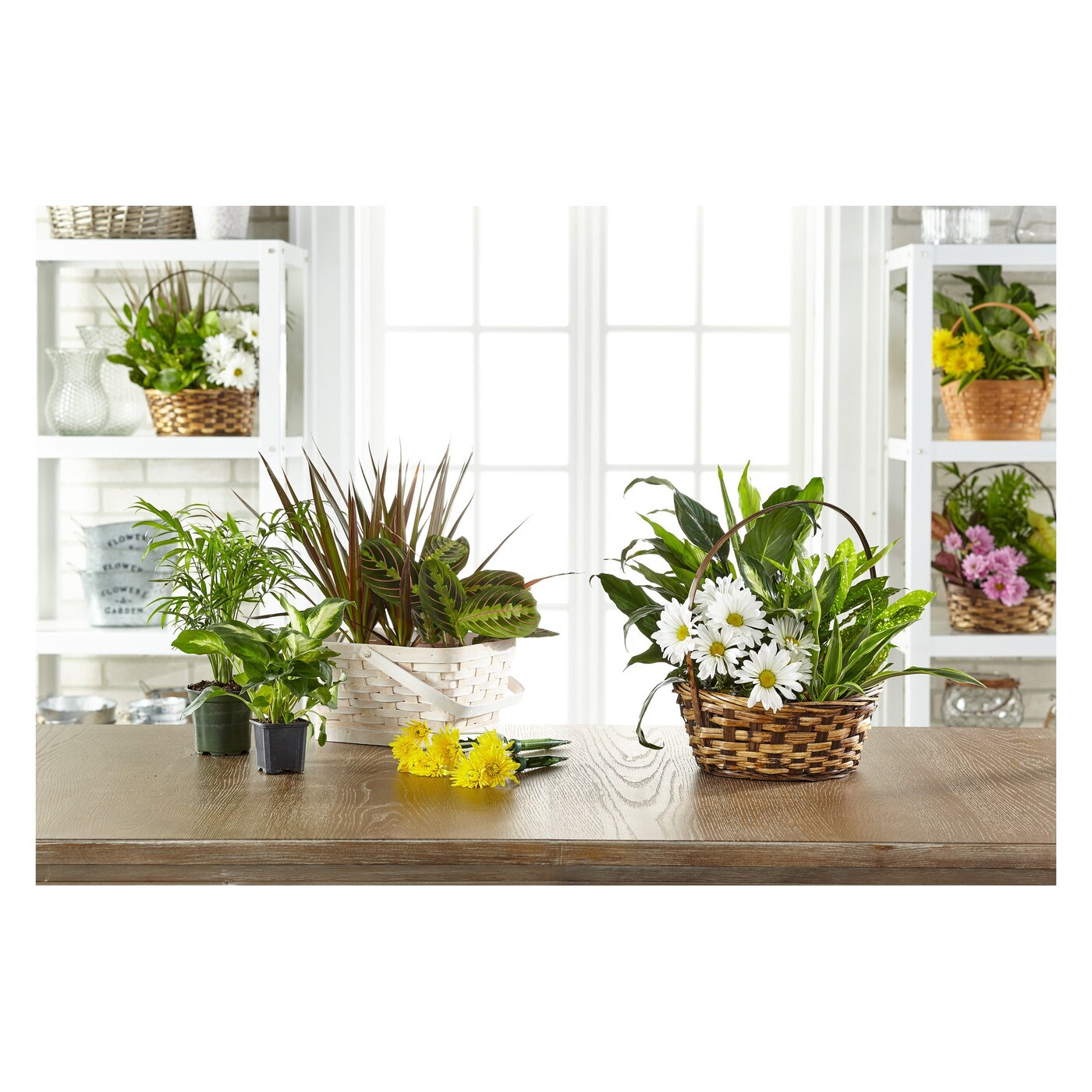 Florist Designed Blooming and Green Plants in a Basket