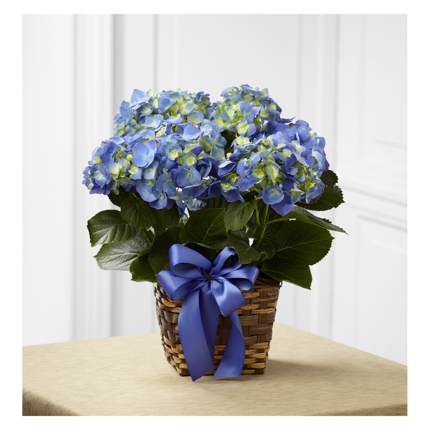Blue Hydrangea Planter