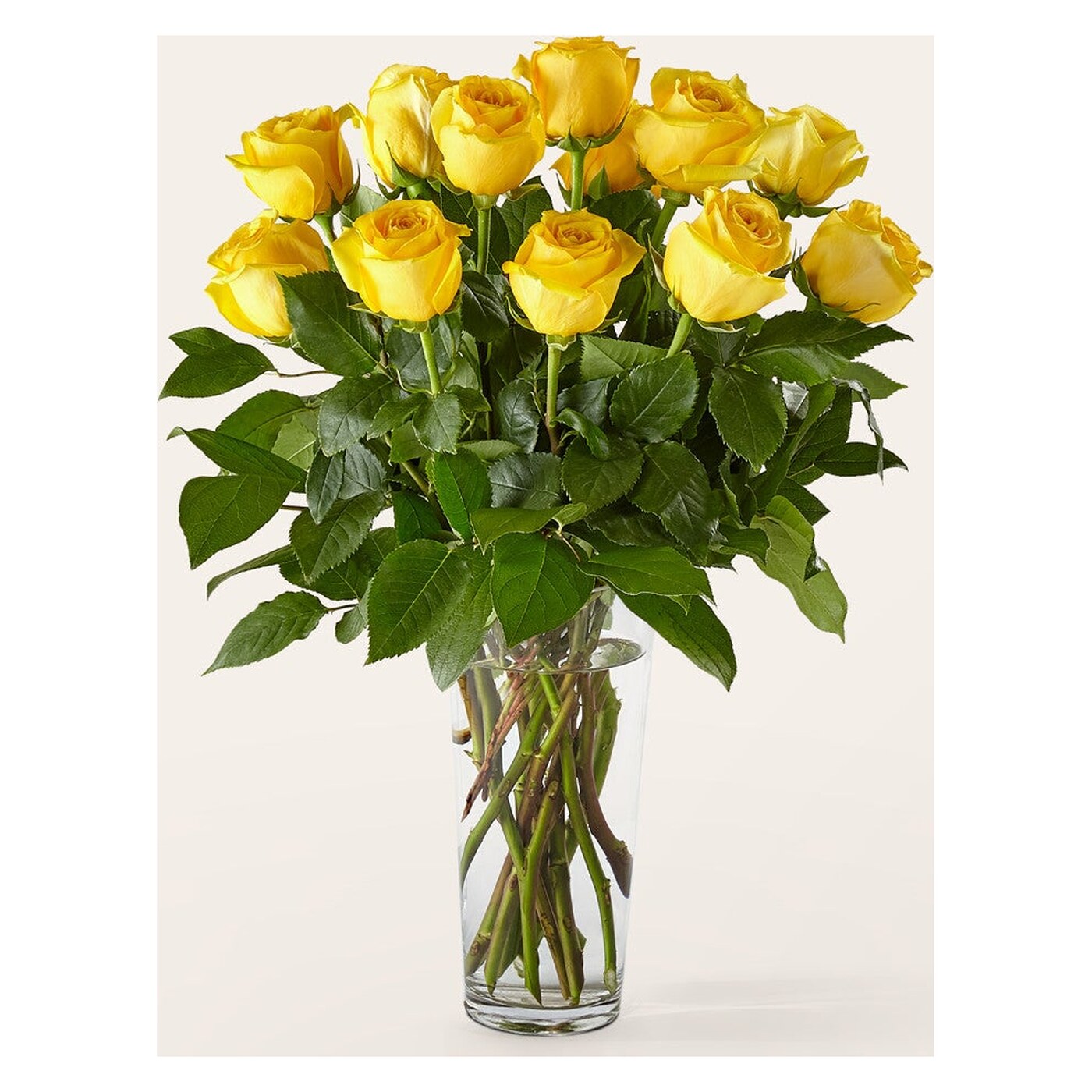 Long Stem Yellow Rose Bouquet