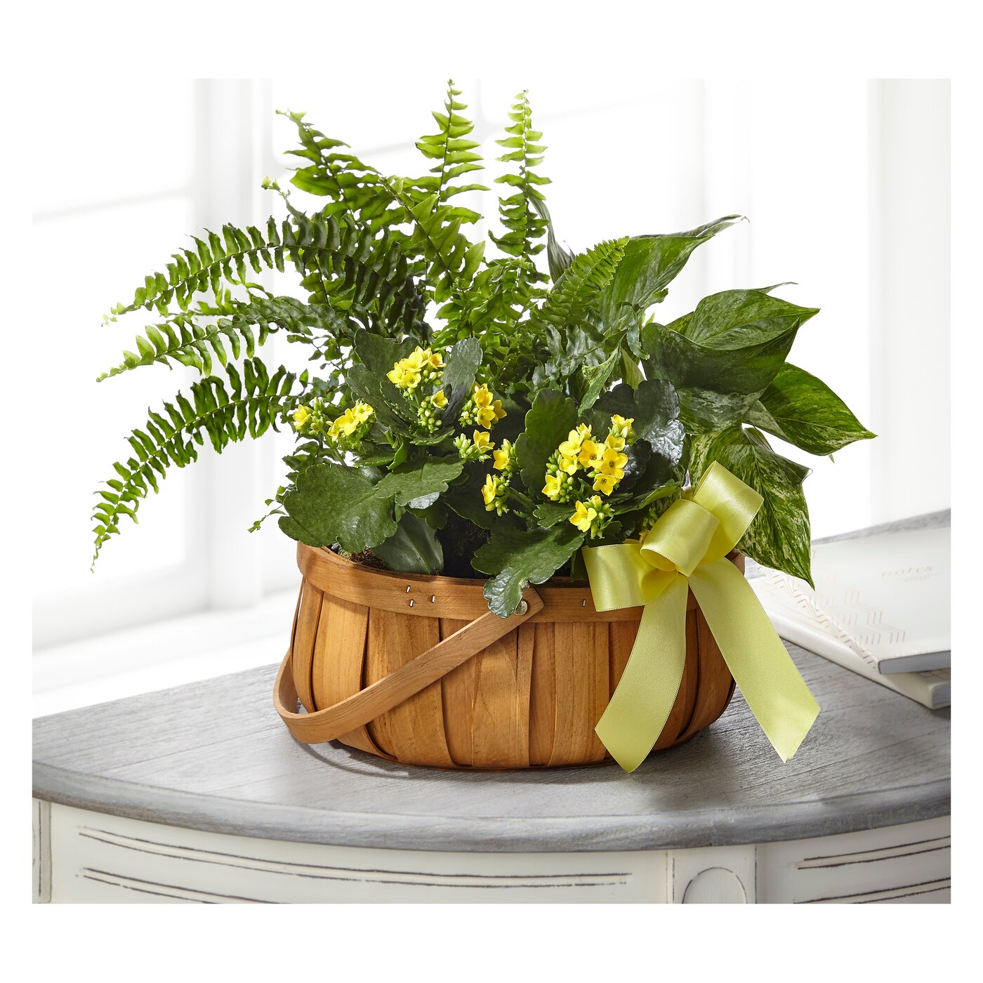 Always Dear Dishgarden