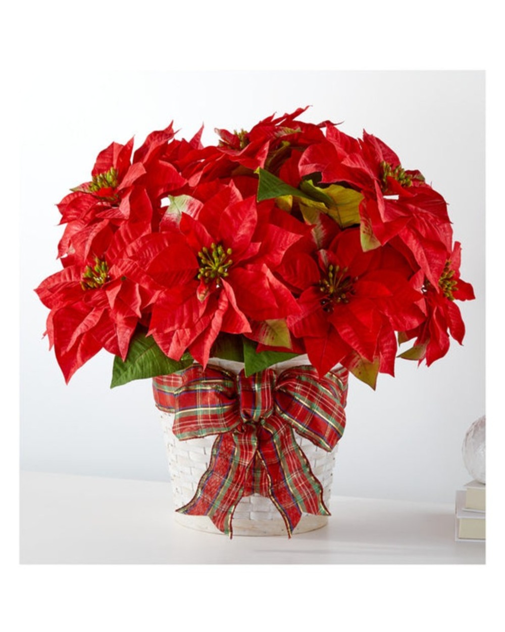 Happiest Holidays Poinsettia