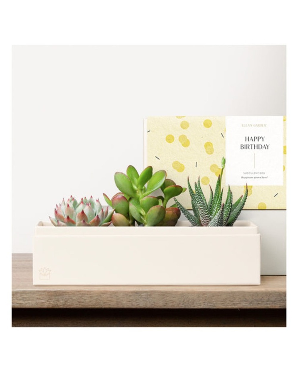 Lula's Deluxe Jewel Garden - Happy Birthday