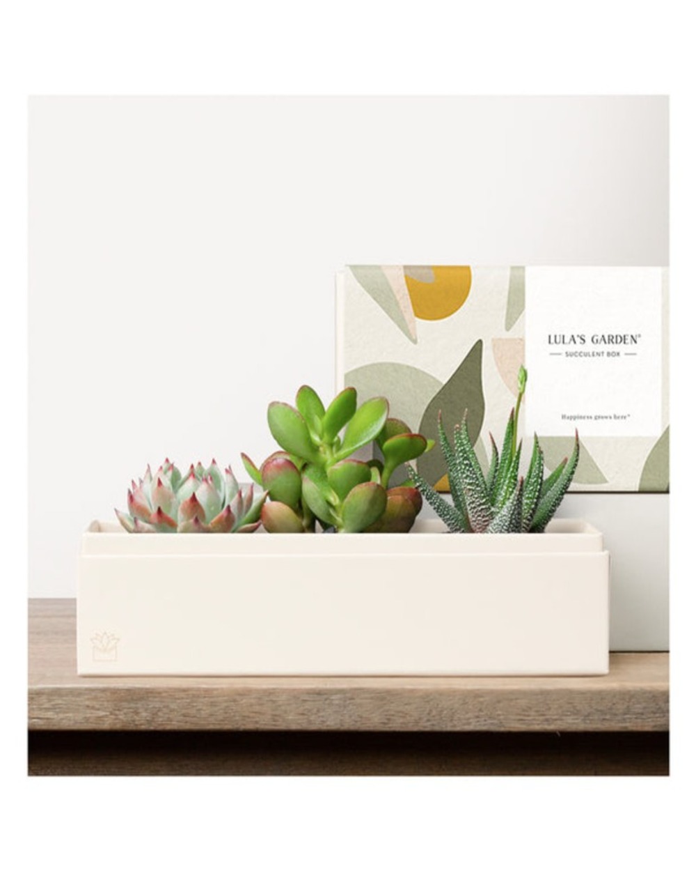 Lula's Deluxe Jewel Garden - Lula's Garden
