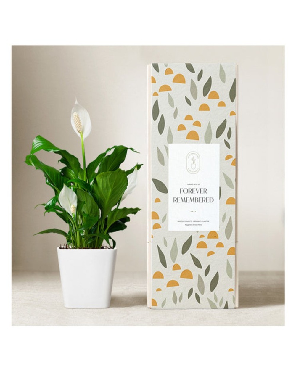 Lula's Peace Lily Plant - Forever Remembered