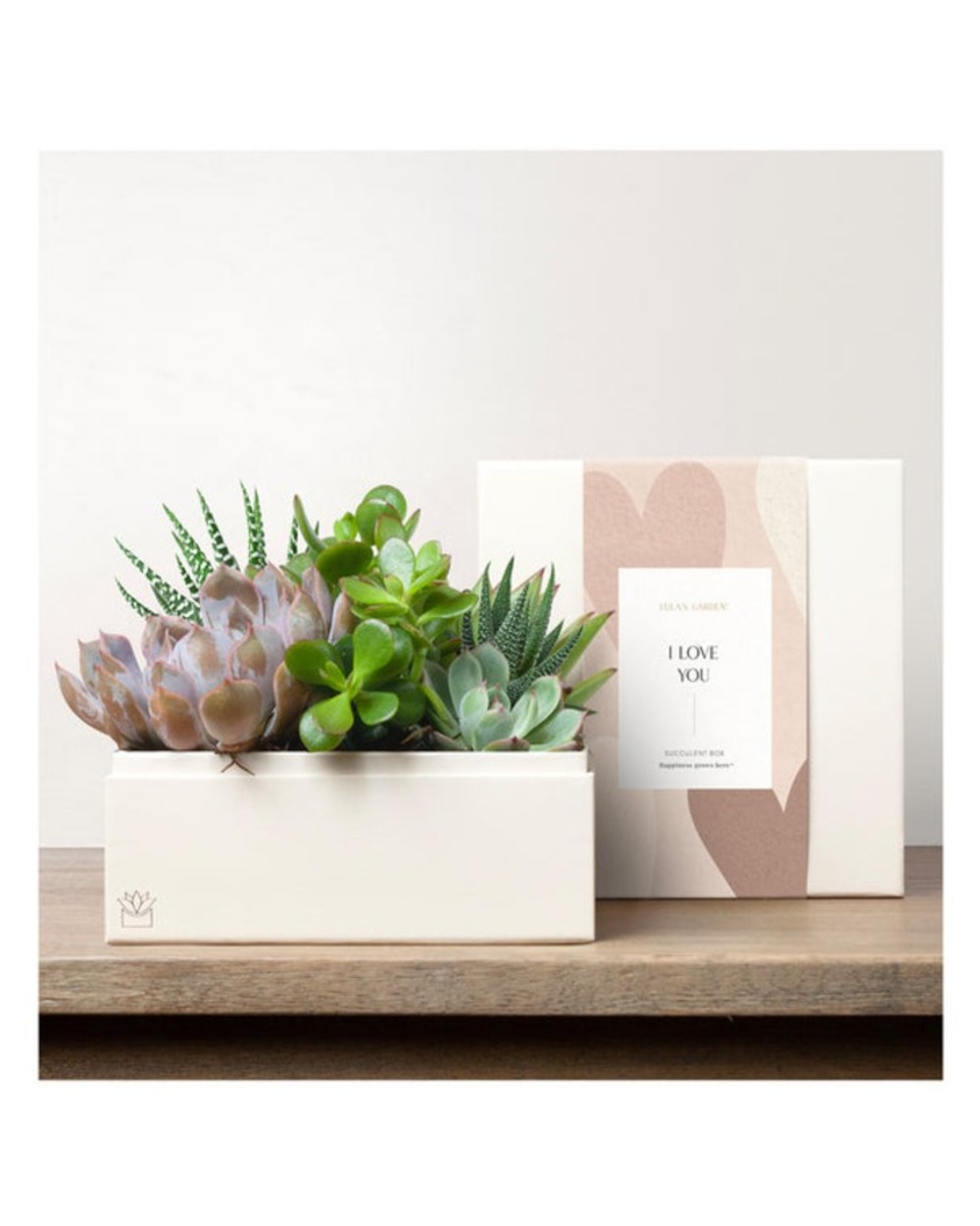 Lula's Premium Urban Garden - I Love You