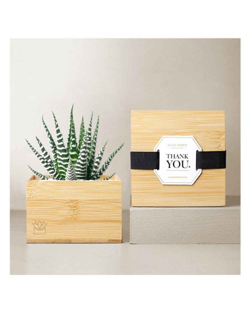 Lula's Bamboo Zebra Garden - Thank You