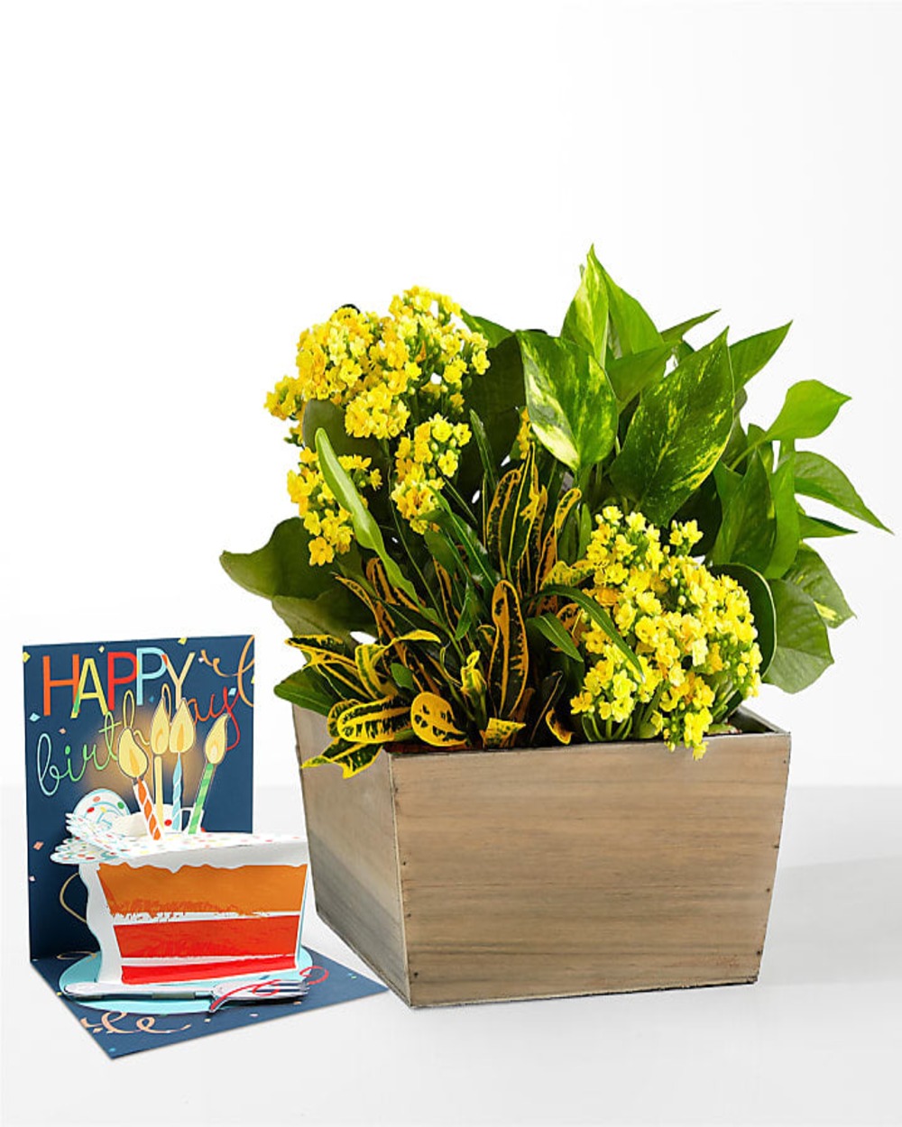 Sunshine & Joy Garden & Birthday Pop Up Card